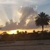 mburbo23